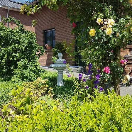 Helle Nichtraucherwohnung 69qm Zwischen Koeln Und Duesseldorf Dormagen