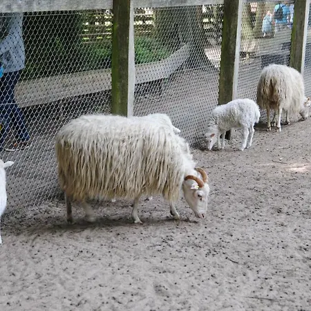 Helle Nichtraucherwohnung 69qm Zwischen Koeln Und Duesseldorf דורמאגן