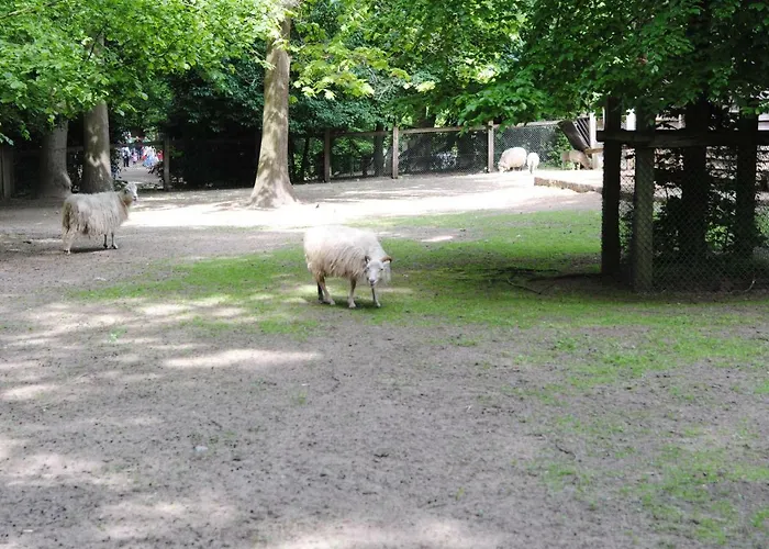 Apartment Helle Nichtraucherwohnung 69qm Zwischen Köln Und Düsseldorf *