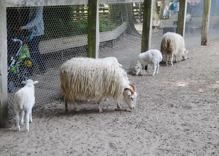 Helle Nichtraucherwohnung 69qm Zwischen Köln Und Düsseldorf Dormagen